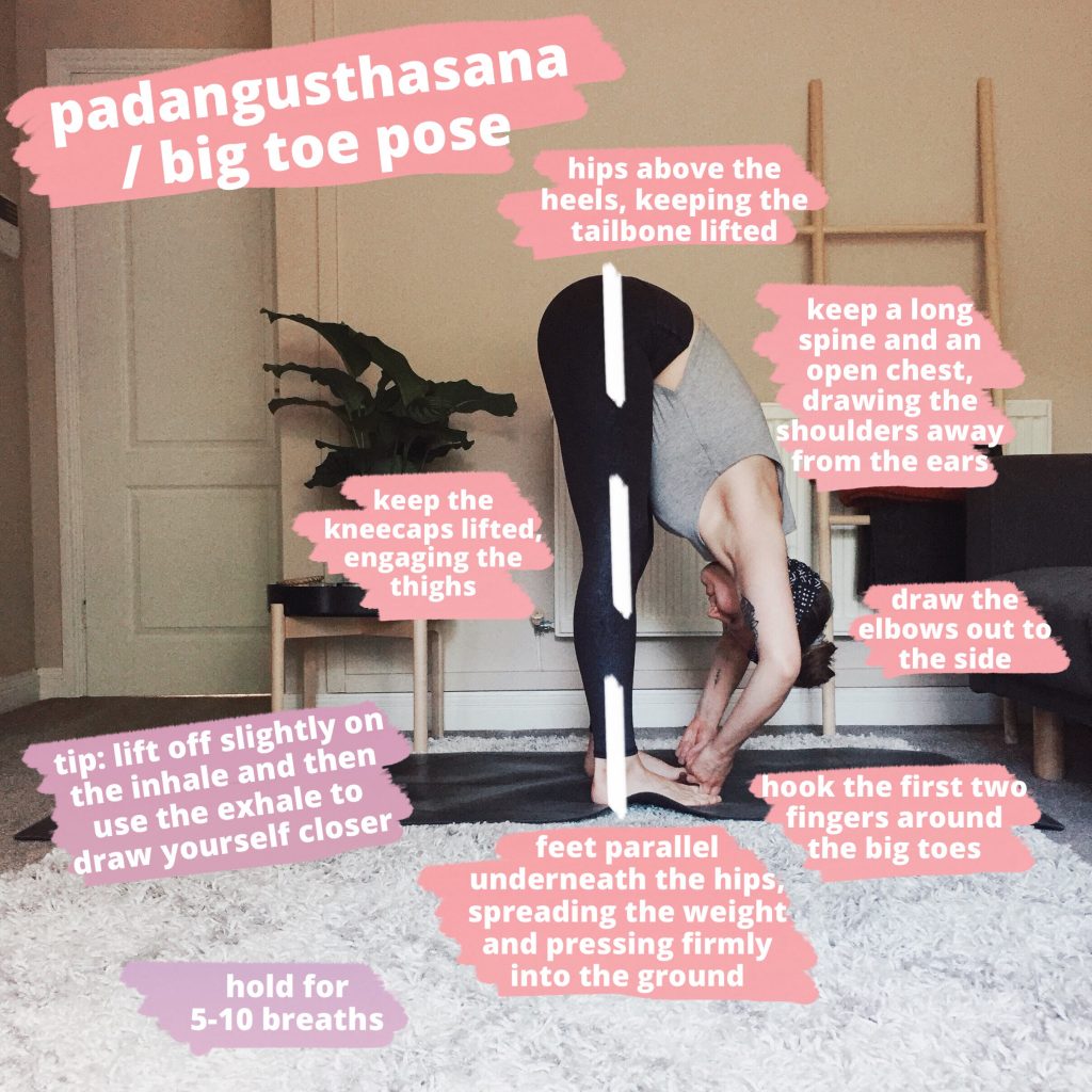 Padangusthasana or Big Toe Pose, a forward fold yoga pose where the first two fingers hook onto the big toes.